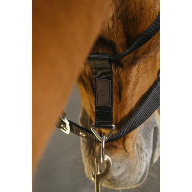 Licol nylon Equithème Domino Licol nylon Equithème Domino
