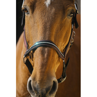 Licol nylon Equithème Domino Licol nylon Equithème Domino