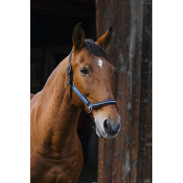 Licol nylon Equithème Domino Licol nylon Equithème Domino