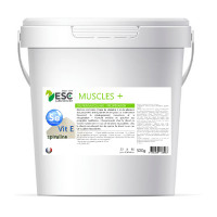 Muscle+ ESC Laboratoire Muscle+ ESC Laboratoire