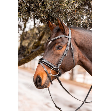 Courroie frontale Wicklow Horze Courroie frontale Wicklow Horze