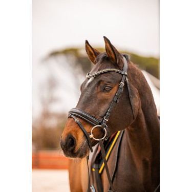 Courroie frontale Wicklow Horze Courroie frontale Wicklow Horze
