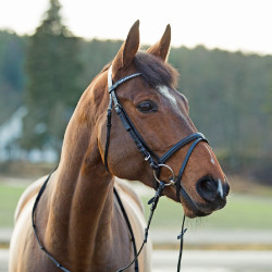 Bridon Horze Weston Noir Bridon Horze Weston Noir