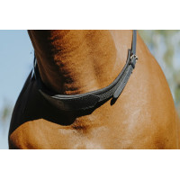 Collier de monte à cru Norton Noir Collier de monte à cru Norton Noir