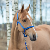 Licol Horze Supreme avec doublure Bleu roi