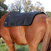 Chauffe dos Back on Track