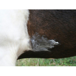 Baume Animaderm Natjely Baume Animaderm Natjely