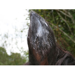 Baume Animaderm Natjely Baume Animaderm Natjely