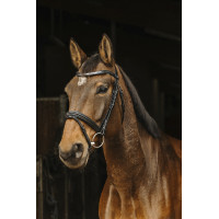 Bridon Norton Pro Galon Noir Bridon Norton Pro Galon Noir