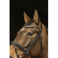 Bridon Norton Pro Galon Noir Bridon Norton Pro Galon Noir