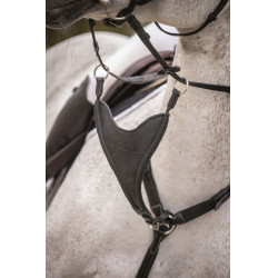 Flèche de martingale Pénélope Bip Plain Elastique Noir