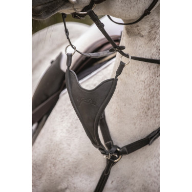 Flèche de martingale Pénélope Bip Plain Elastique Flèche de martingale Pénélope Bip Plain Elastique
