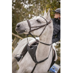 Flèche de martingale Pénélope Bip Plain Elastique Noir