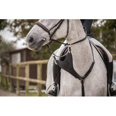 Flèche de martingale Pénélope Bip Plain Elastique Flèche de martingale Pénélope Bip Plain Elastique