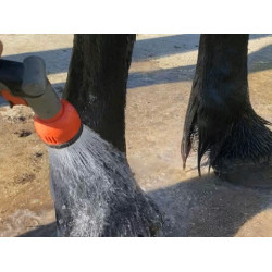 Shampooing Animaderm Tea Tree