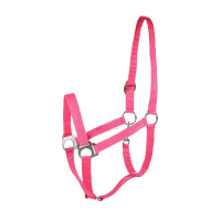 Licol Basic Horze Framboise