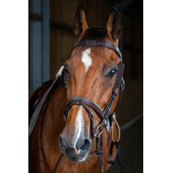 Montants Focus Dy'on Marron Montants Focus Dy'on Marron