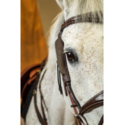 Montants Focus Dy'on Marron Montants Focus Dy'on Marron