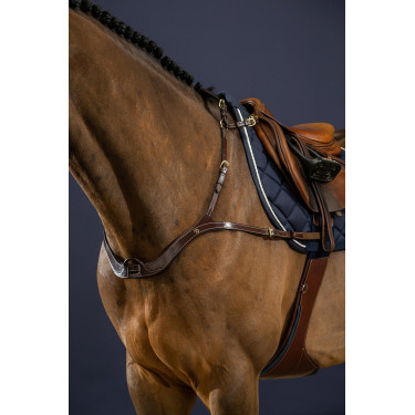 Collier De Chasse Anatomique Dy'on D Collection Collier De Chasse Anatomique Dy'on D Collection