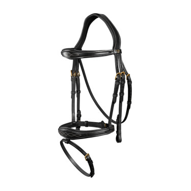 Bridon Muserolle Combinée Anatomique Dy'on Noir