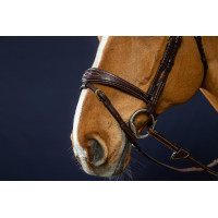 Bridon Muserolle Combinée Anatomique Dy'on Marron