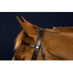 Bridon Cuir Plat Avec Mousquetons Dy'on Marron Bridon Cuir Plat Avec Mousquetons Dy'on Marron