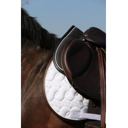 Amortisseur Anatomique Absorb Kentucky Noir