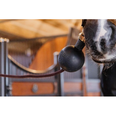 Balle protection d'attache Kentucky Balle protection d'attache Kentucky