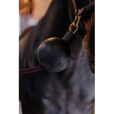 Balle protection d'attache Kentucky Balle protection d'attache Kentucky