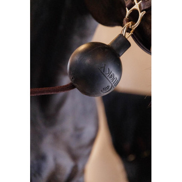 Balle protection d'attache Kentucky Balle protection d'attache Kentucky