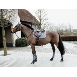 Bandes de polo Polar Fleece Basic Velvet Kentucky Gris Bandes de polo Polar Fleece Basic Velvet Kentucky Gris