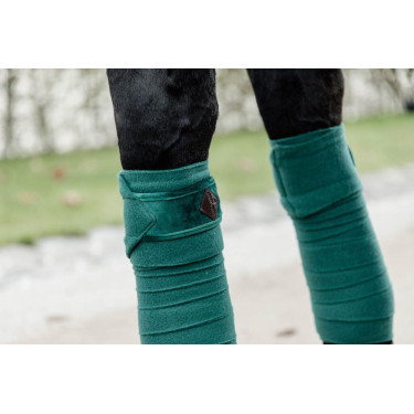 Bandes de polo Polar Fleece Velvet Kentucky Vert foncé Bandes de polo Polar Fleece Velvet Kentucky Vert foncé