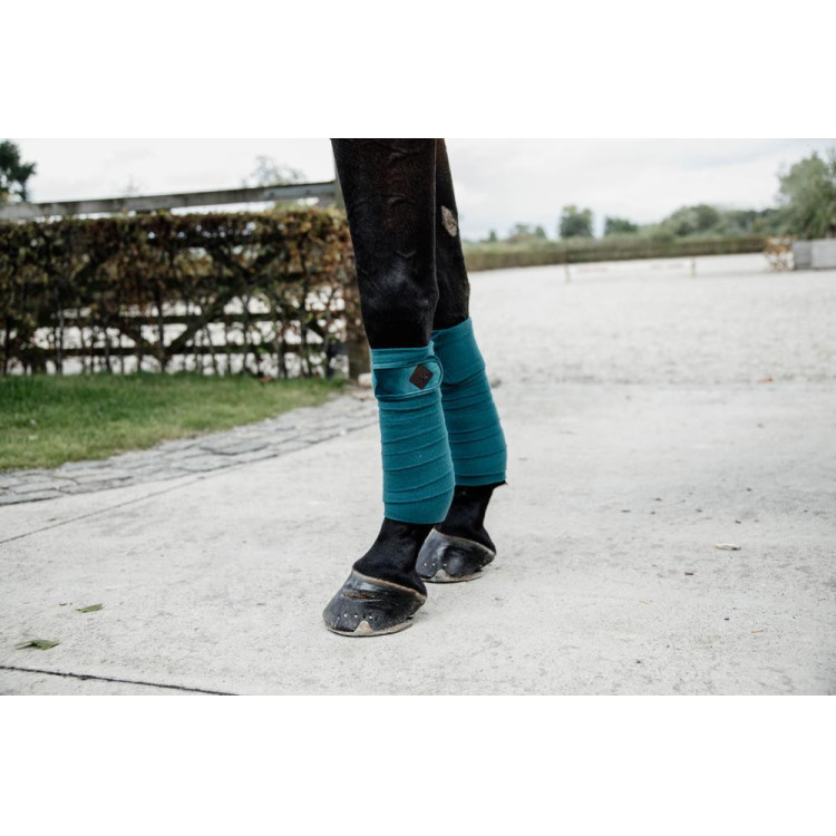 Bandes de polo Polar Fleece Velvet Kentucky