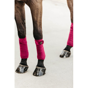 Bandes de polo Polar Fleece Velvet Kentucky Fuchsia Rose Bandes de polo Polar Fleece Velvet Kentucky Fuchsia Rose