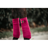 Bandes de polo Polar Fleece Velvet Kentucky Bordeaux