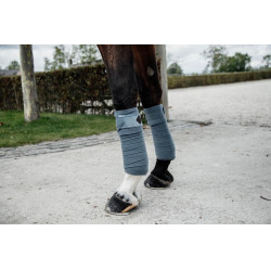 Bandes de polo Polar Fleece Velvet Kentucky Bleu clair