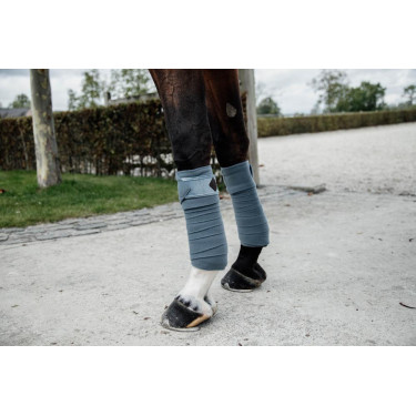 Bandes de polo Polar Fleece Velvet Kentucky Bleu clair