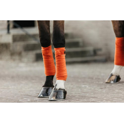 Bandes de polo Polar Fleece Velvet Kentucky Orange