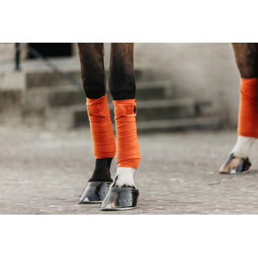 Bandes de polo Polar Fleece Velvet Kentucky Orange