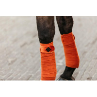 Bandes de polo Polar Fleece Velvet Kentucky Bordeaux