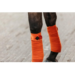 Bandes de polo Polar Fleece Velvet Kentucky Orange
