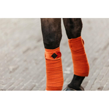 Bandes de polo Polar Fleece Velvet Kentucky Orange
