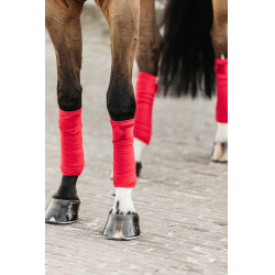Bandes de polo Polar Fleece Velvet Kentucky Rouge