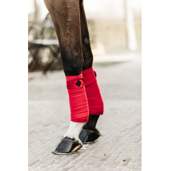 Bandes de polo Polar Fleece Velvet Kentucky Rouge