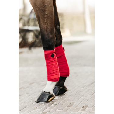 Bandes de polo Polar Fleece Velvet Kentucky Rouge