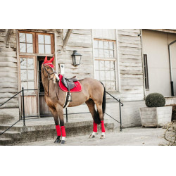 Bandes de polo Polar Fleece Velvet Kentucky Rouge