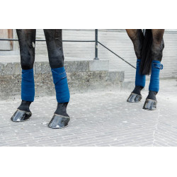 Bandes de polo Polar Fleece Velvet Pearls Kentucky
