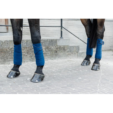 Bandes de polo Polar Fleece Velvet Pearls Kentucky Bandes de polo Polar Fleece Velvet Pearls Kentucky