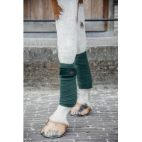 Bandes de polo Polar Fleece Velvet Pearls Kentucky Vert sapin Bandes de polo Polar Fleece Velvet Pearls Kentucky Vert sapin
