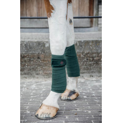 Bandes de polo Polar Fleece Velvet Pearls Kentucky Vert sapin